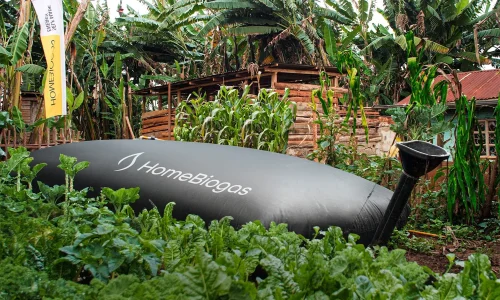 Homebiogas